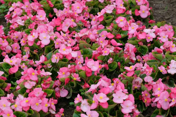 Mobilier de design : un investissement rentable ?