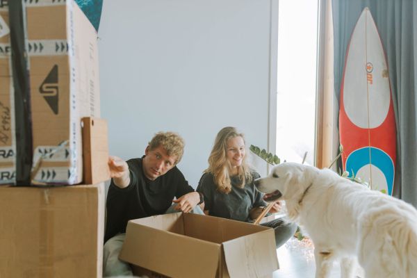 Déménagement serein avec des animaux de compagnie